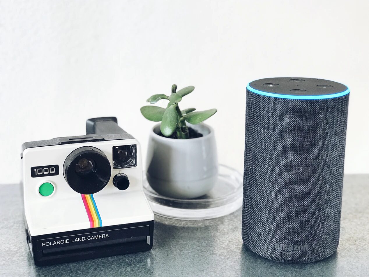 An Amazon Alexa with polaroid camera and pot plant