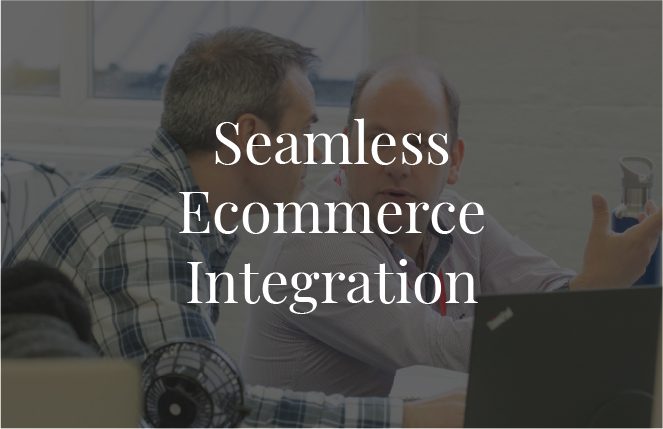 Seamless Ecommerce Integration@2x