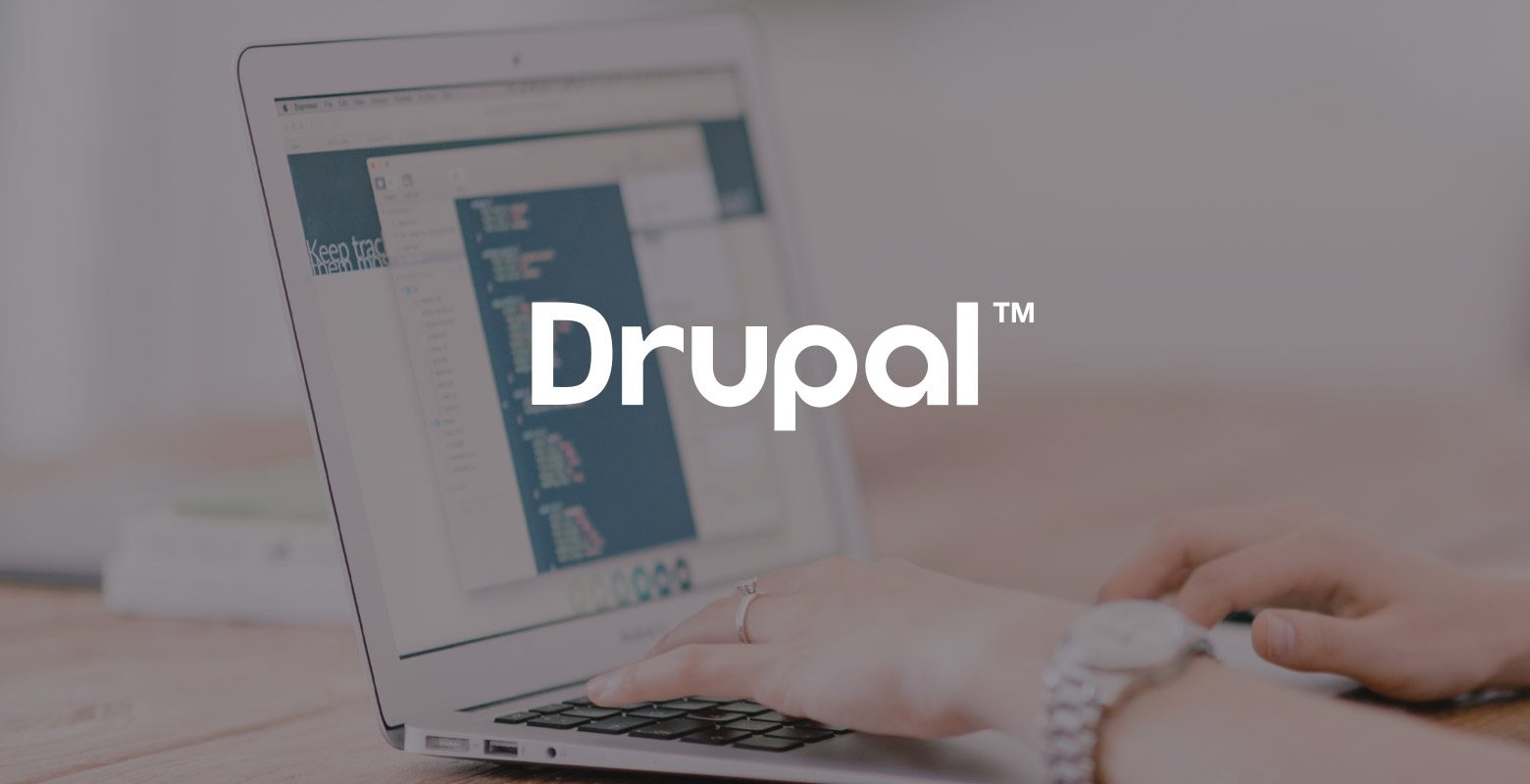 Drupal CMS Agency | Website Development Services