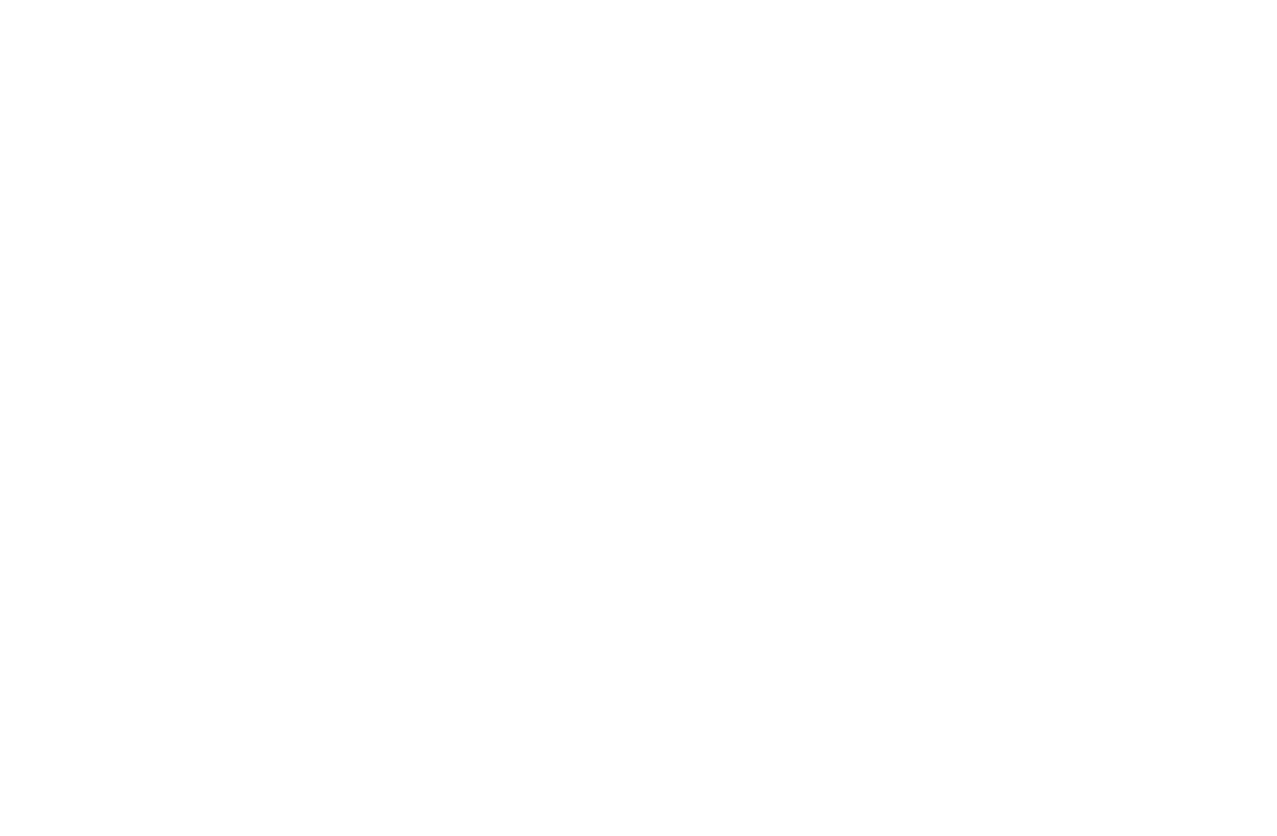 sig logo