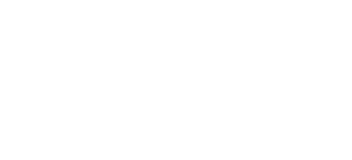zoggs old logo