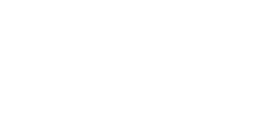 Zoggs logo shop